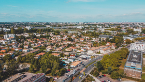 Lutte contre les nuisibles Villeurbanne